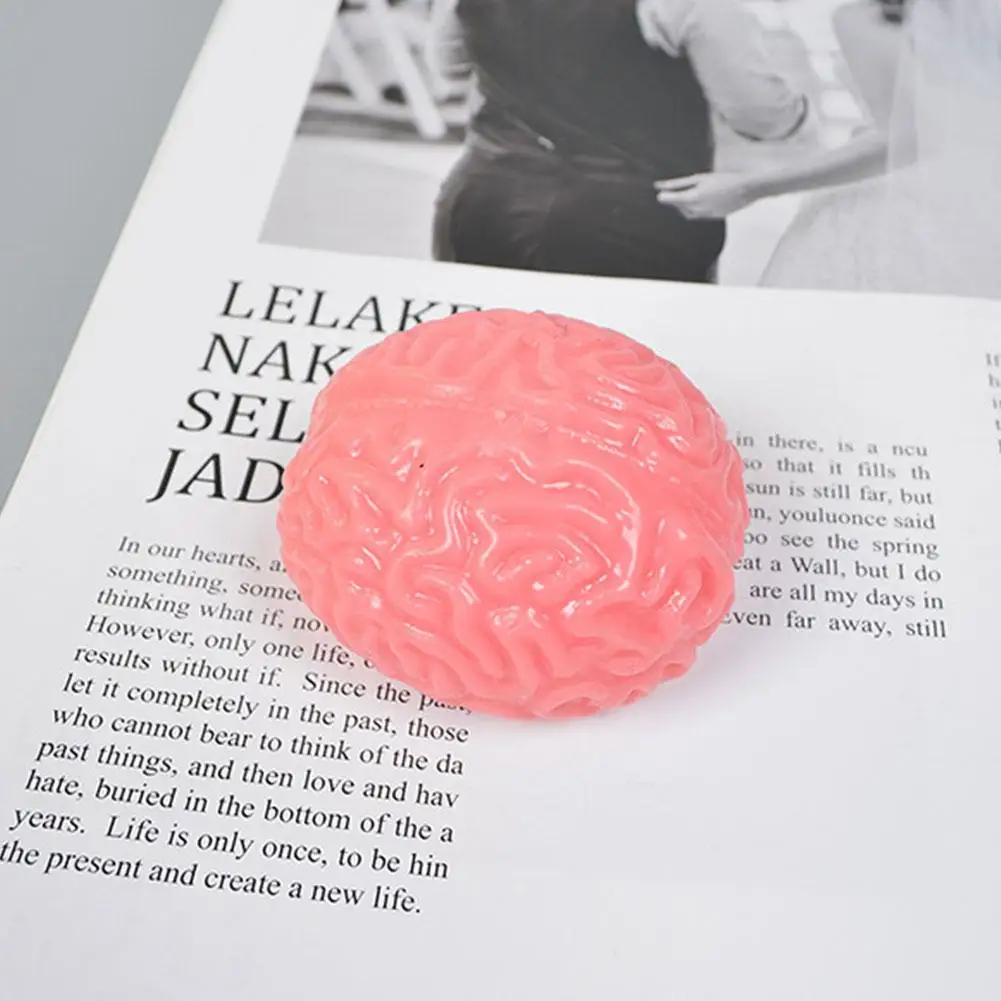 Realistic Brain Squishy Stress Ball Soft Squeeze Fidget Toy Anxiety Relief Sensory Therapy Gift For ADHD Autism Adults Kids
Realistic Brain Squishy Stress Ball Soft Squeeze Fidget Toy Anxiety Relief Sensory Therapy Gift For ADHD Autism Adults Kids
