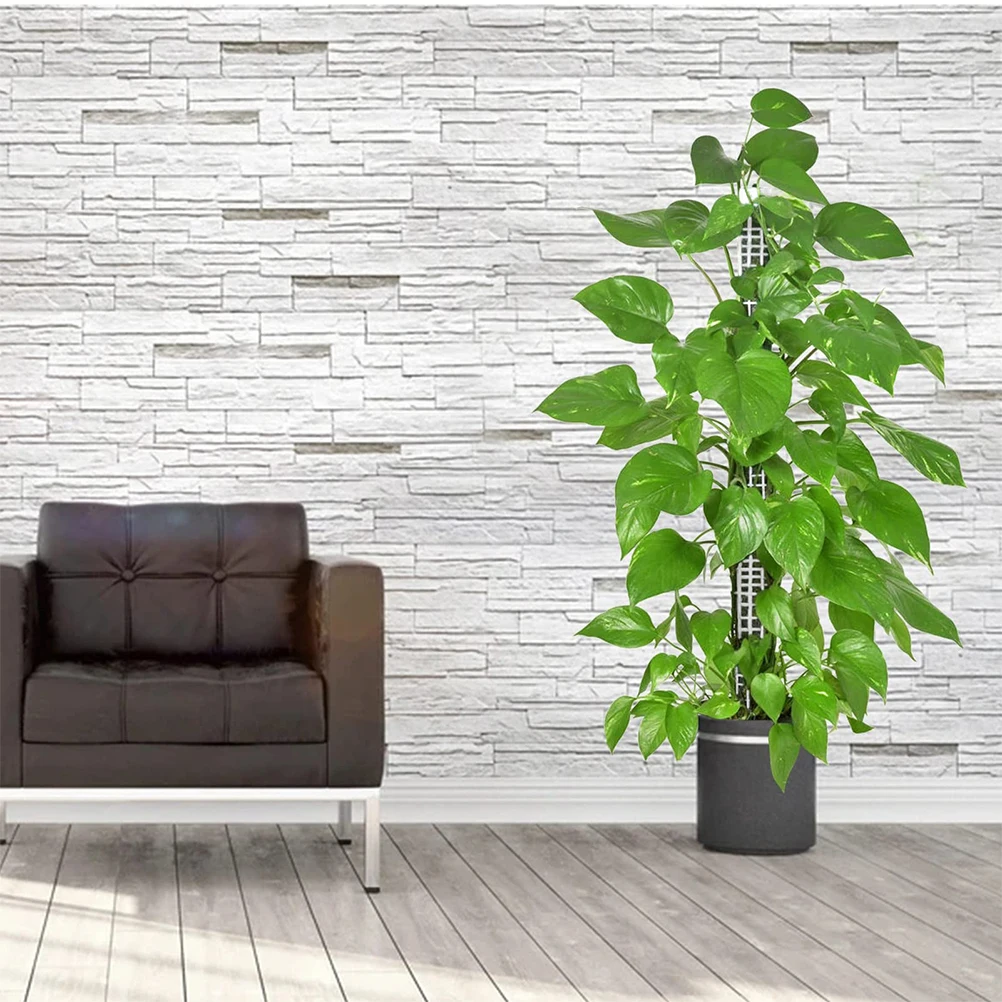 1 set 1 Set Moss Pole For Plants Monstera Plastic Climbing Support Garden Trellis Vine Plant Rack Decorative Plant Stand Outdoor
1 set 1 Set Moss Pole For Plants Monstera Plastic Climbing Support Garden Trellis Vine Plant Rack Decorative Plant Stand Outdoor