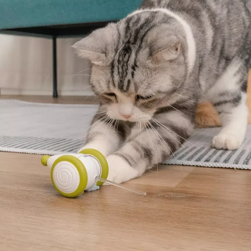 Cheerble Modern LED Lights Rechargeable PVC Electric Cat Mouse Toy Smart Sensing Automatic Interactive Toy for Cats
Cheerble Modern LED Lights Rechargeable PVC Electric Cat Mouse Toy Smart Sensing Automatic Interactive Toy for Cats