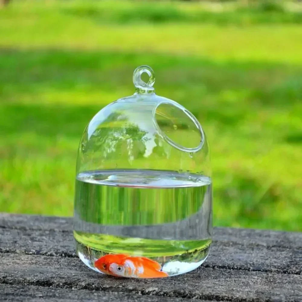 Ornament Shape Holder Hanging Fish Bowl Home Glass With Decoration Transparent Aquarium Vase Round/rectangle Rack Tank
Ornament Shape Holder Hanging Fish Bowl Home Glass With Decoration Transparent Aquarium Vase Round/rectangle Rack Tank