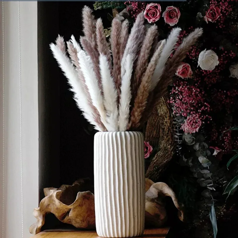Bulrush Dried Flowers Small Pampas Grass Natural Dried Flower Bouquet Wedding Home Decor Glass Window Decor Fake Flower
Bulrush Dried Flowers Small Pampas Grass Natural Dried Flower Bouquet Wedding Home Decor Glass Window Decor Fake Flower