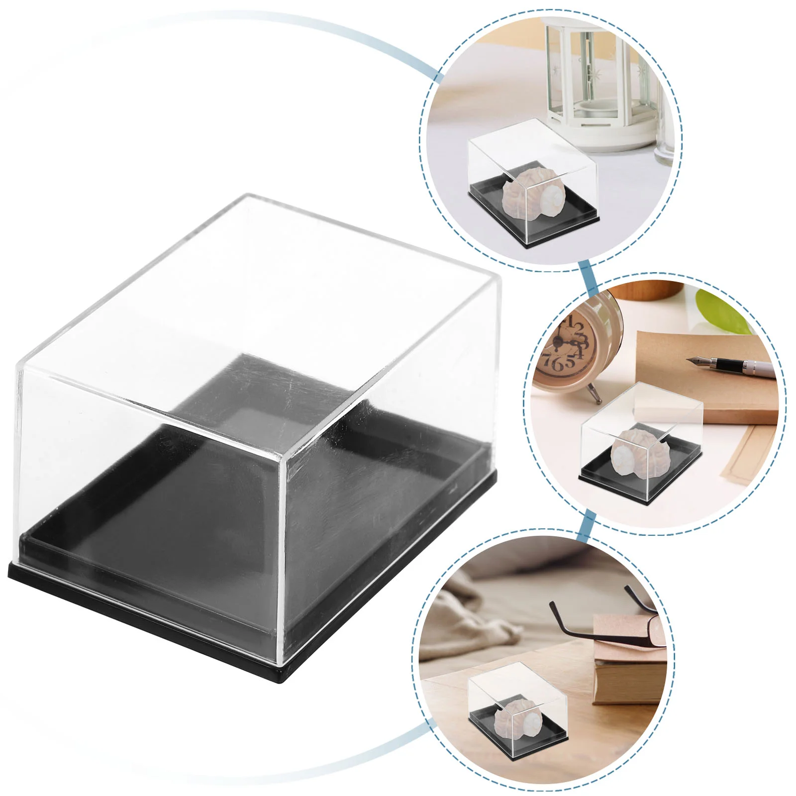 4 Pcs Jewelry Tray Display Container Clear Case Specimen Containers Plastic Holder Transparent Mineral Showcase Man
4 Pcs Jewelry Tray Display Container Clear Case Specimen Containers Plastic Holder Transparent Mineral Showcase Man