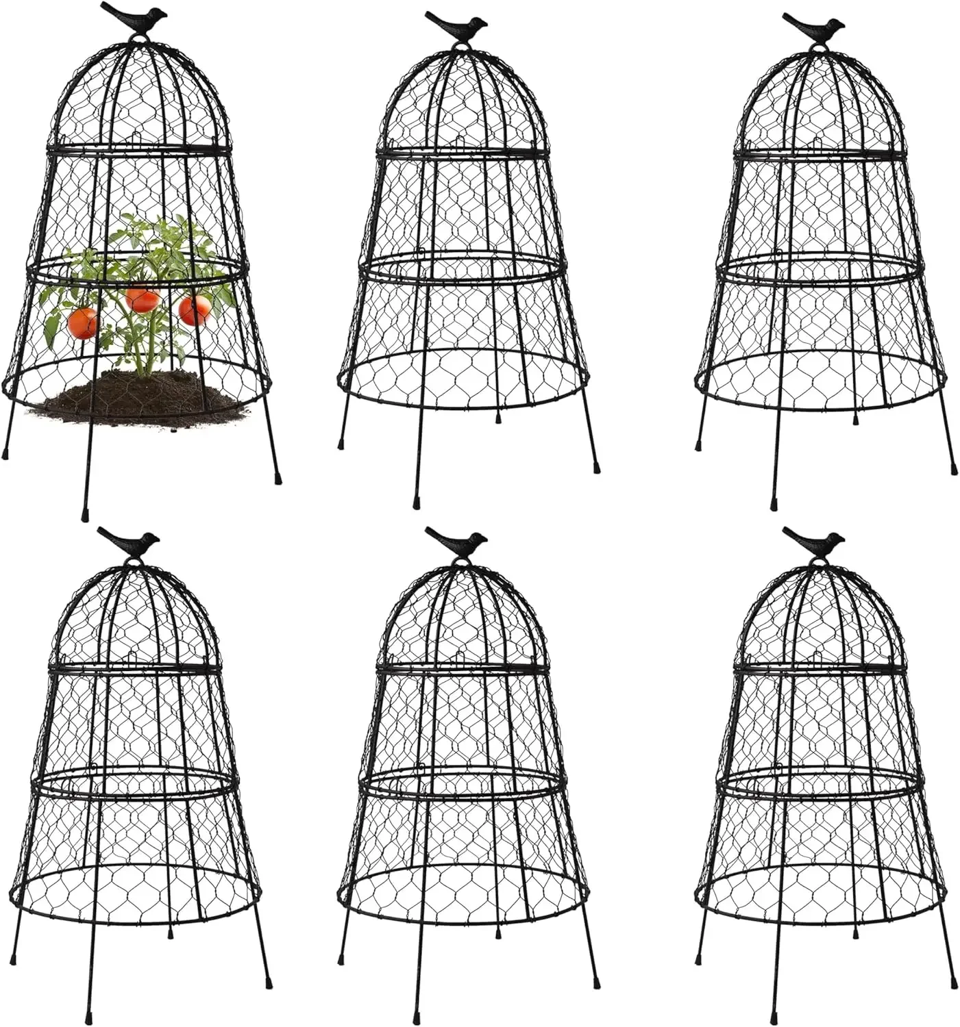Pack of 6 Heavy-Duty Chicken Wire Plant Cloches – Rustproof Garden Protectors and Plant Cages for Vegetables and Flowers – Safeg
Pack of 6 Heavy-Duty Chicken Wire Plant Cloches – Rustproof Garden Protectors and Plant Cages for Vegetables and Flowers – Safeg