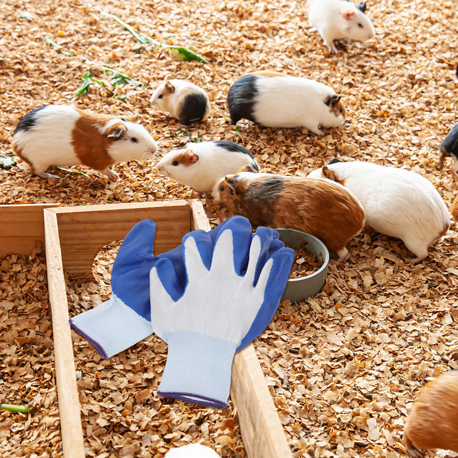 2 Pairs Anti Scratch Gloves Bird Handling Bite Proof Anti-bite for Small Animals PVC
2 Pairs Anti Scratch Gloves Bird Handling Bite Proof Anti-bite for Small Animals PVC