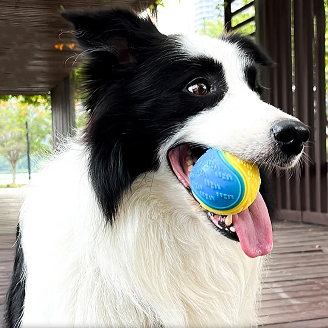 Dog Interactive Ball Soft TPR Toy for Dog Interactive Training Dog Ball Pet Teeth Cleaning Bite Resistance Ball Toy Random Color
Dog Interactive Ball Soft TPR Toy for Dog Interactive Training Dog Ball Pet Teeth Cleaning Bite Resistance Ball Toy Random Color