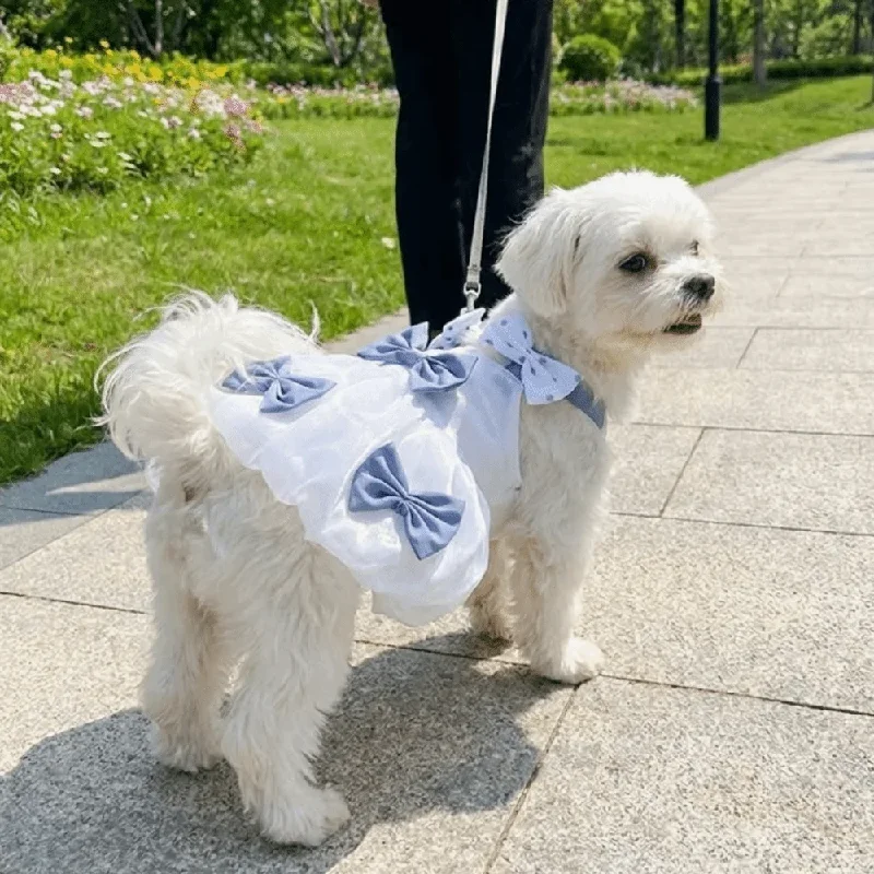 Fashion Thin Breathable Dog Princess Dress Bow Design Lightweight Pet Lace Skirt Comfortable Soft Dog Puff Skirt Outdoor Walk
Fashion Thin Breathable Dog Princess Dress Bow Design Lightweight Pet Lace Skirt Comfortable Soft Dog Puff Skirt Outdoor Walk