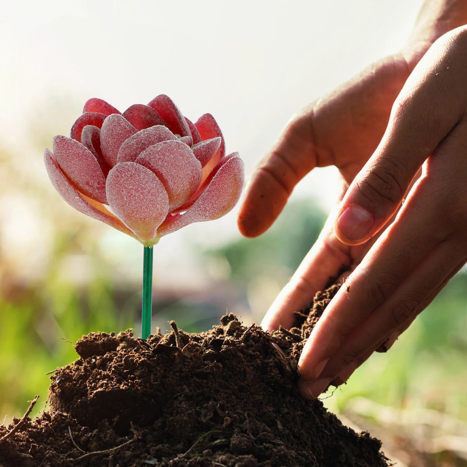 18Pcs Artificial Unpotted Succulents Realistic Green Faux Succulent Picks for DIY Decor Fake Plant in Green Stems Home Office
18Pcs Artificial Unpotted Succulents Realistic Green Faux Succulent Picks for DIY Decor Fake Plant in Green Stems Home Office