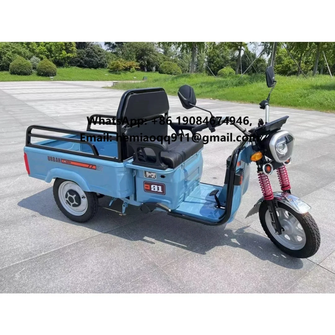 Factory Wholesale 1000w Electric Cargo Tricycle 3 Wheel Electric for Cargo 3 Wheel Electric Cargo Delivery Truck
Factory Wholesale 1000w Electric Cargo Tricycle 3 Wheel Electric for Cargo 3 Wheel Electric Cargo Delivery Truck