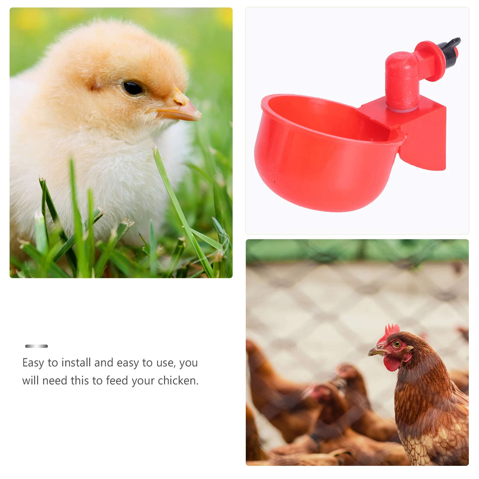 2Pcs Chicken Waterer Unique Design Pigeon Water Feeder Easy Install for Farm Use Water Bowl Poultry Drinking Bowl
2Pcs Chicken Waterer Unique Design Pigeon Water Feeder Easy Install for Farm Use Water Bowl Poultry Drinking Bowl