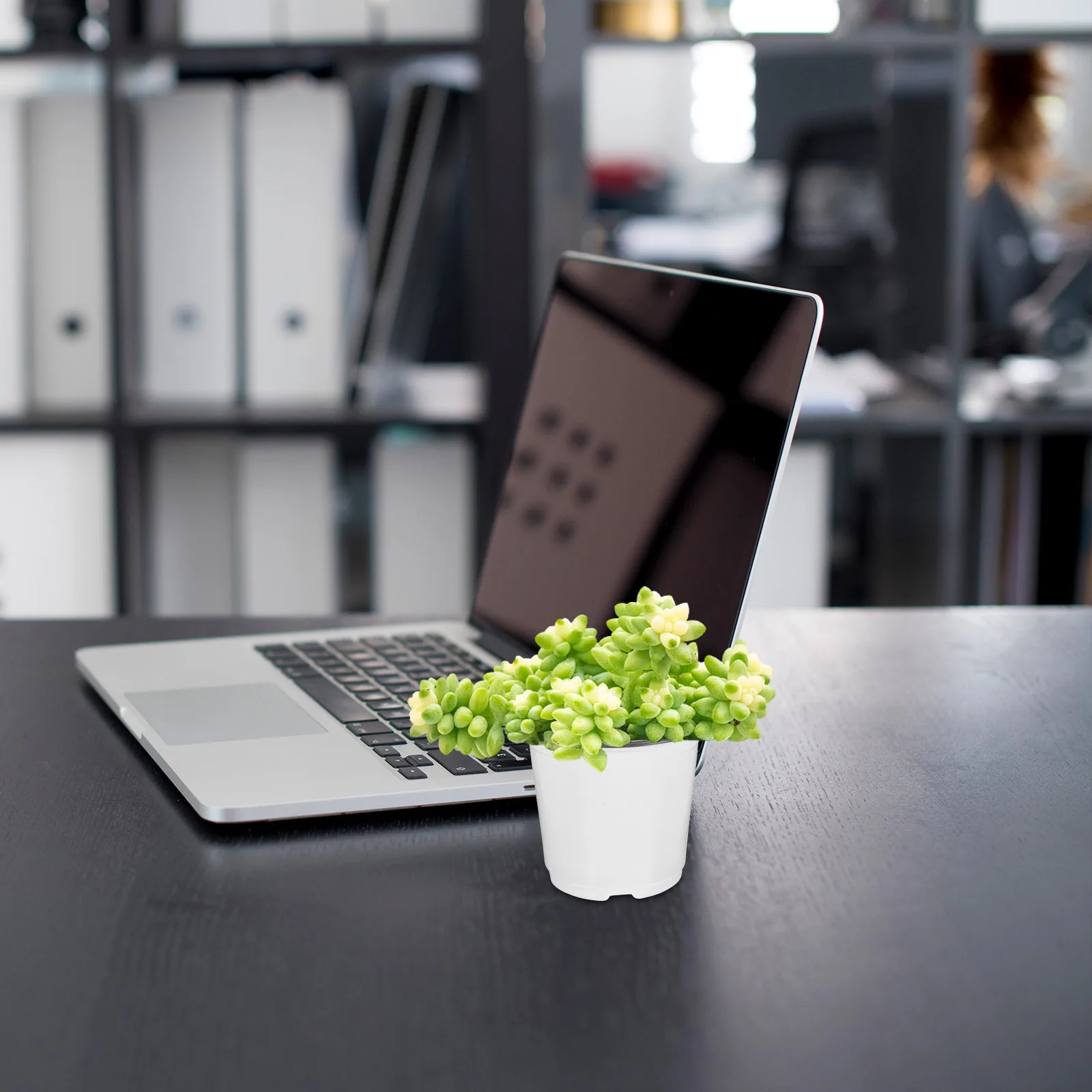 60 шт. мини-сочный цветочный горшок двухцветный пластиковый горшок для бонсай садовый цветочный горшок для настольного окна сада мини-горшок
60 шт. мини-сочный цветочный горшок двухцветный пластиковый горшок для бонсай садовый цветочный горшок для настольного окна сада мини-горшок