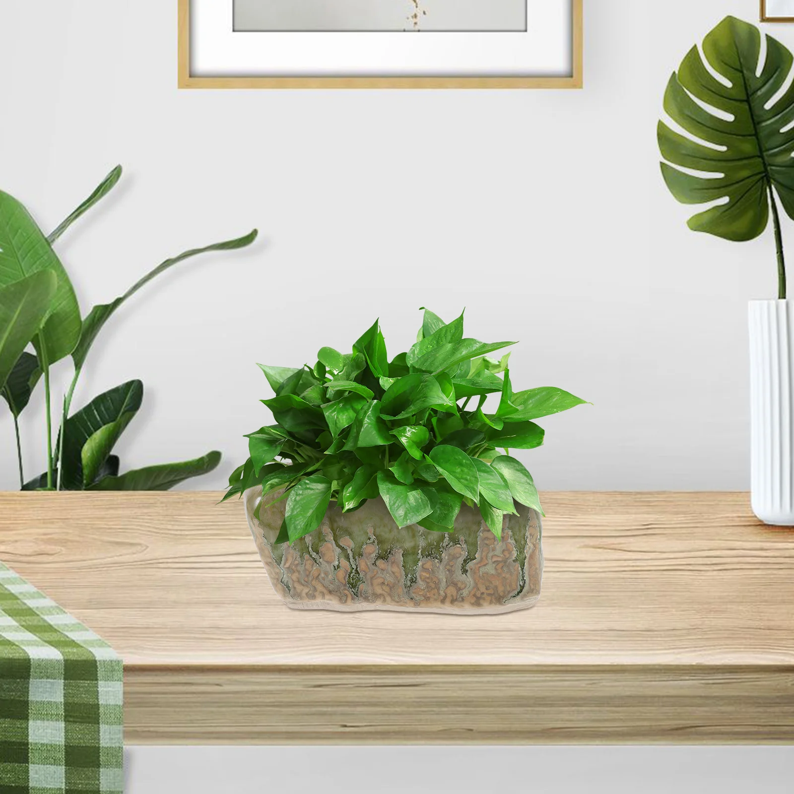 3Pcs Rectangle Succulent Planter Ceramic Pot Natural Stone Design Shallow Plant Containers with Drainage Hole for Indoor Outdoor
3Pcs Rectangle Succulent Planter Ceramic Pot Natural Stone Design Shallow Plant Containers with Drainage Hole for Indoor Outdoor