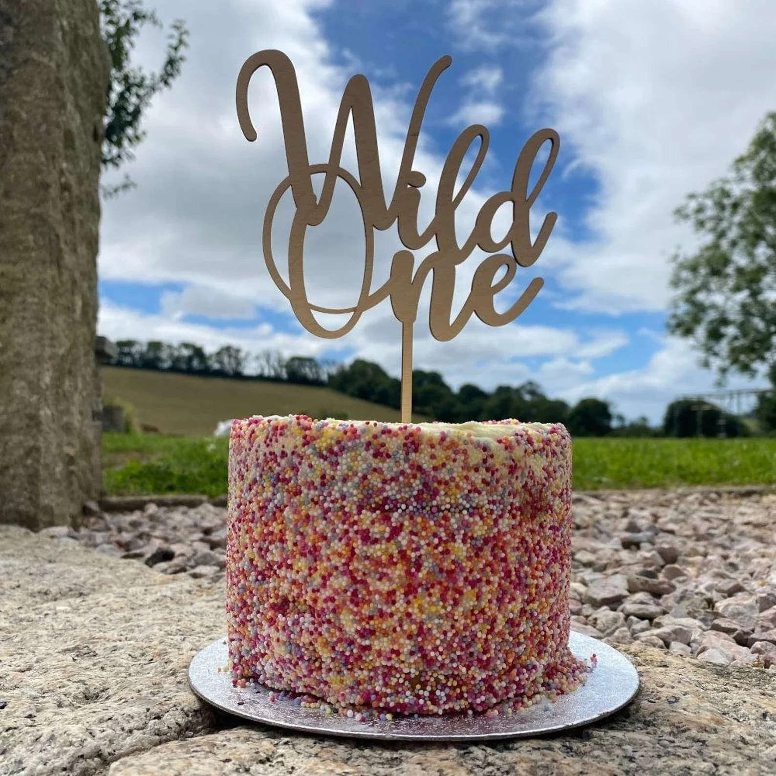 Wooden Wild One 1st Birthday Cake Topper, 1st Birthday Party Cake, 1st Anniversary Cake Decoration,For Child as a Gift
Wooden Wild One 1st Birthday Cake Topper, 1st Birthday Party Cake, 1st Anniversary Cake Decoration,For Child as a Gift