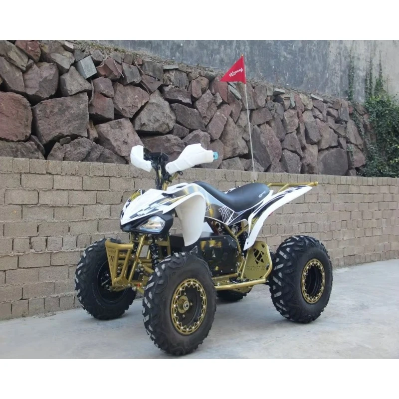 60V 1800w powerful electric youth all-terrain vehicle short charging time long distance travel
60V 1800w powerful electric youth all-terrain vehicle short charging time long distance travel