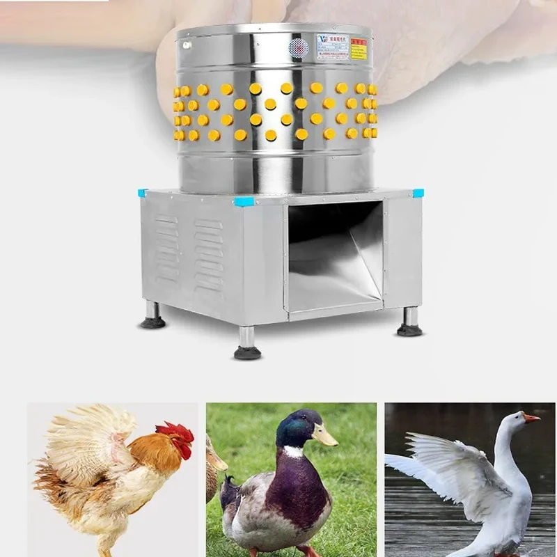 Компактная машина для удаления перьев BABEJING для кур, уток, гусей - прочный и эффективный инструмент для очистки
Компактная машина для удаления перьев BABEJING для кур, уток, гусей - прочный и эффективный инструмент для очистки