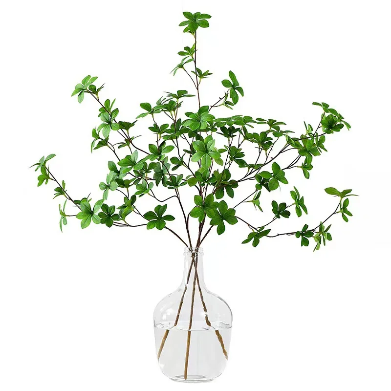 Simple glass desktop vase small mouth wide body large anthurium flower planting hydroponic decoration living room wedding
Simple glass desktop vase small mouth wide body large anthurium flower planting hydroponic decoration living room wedding