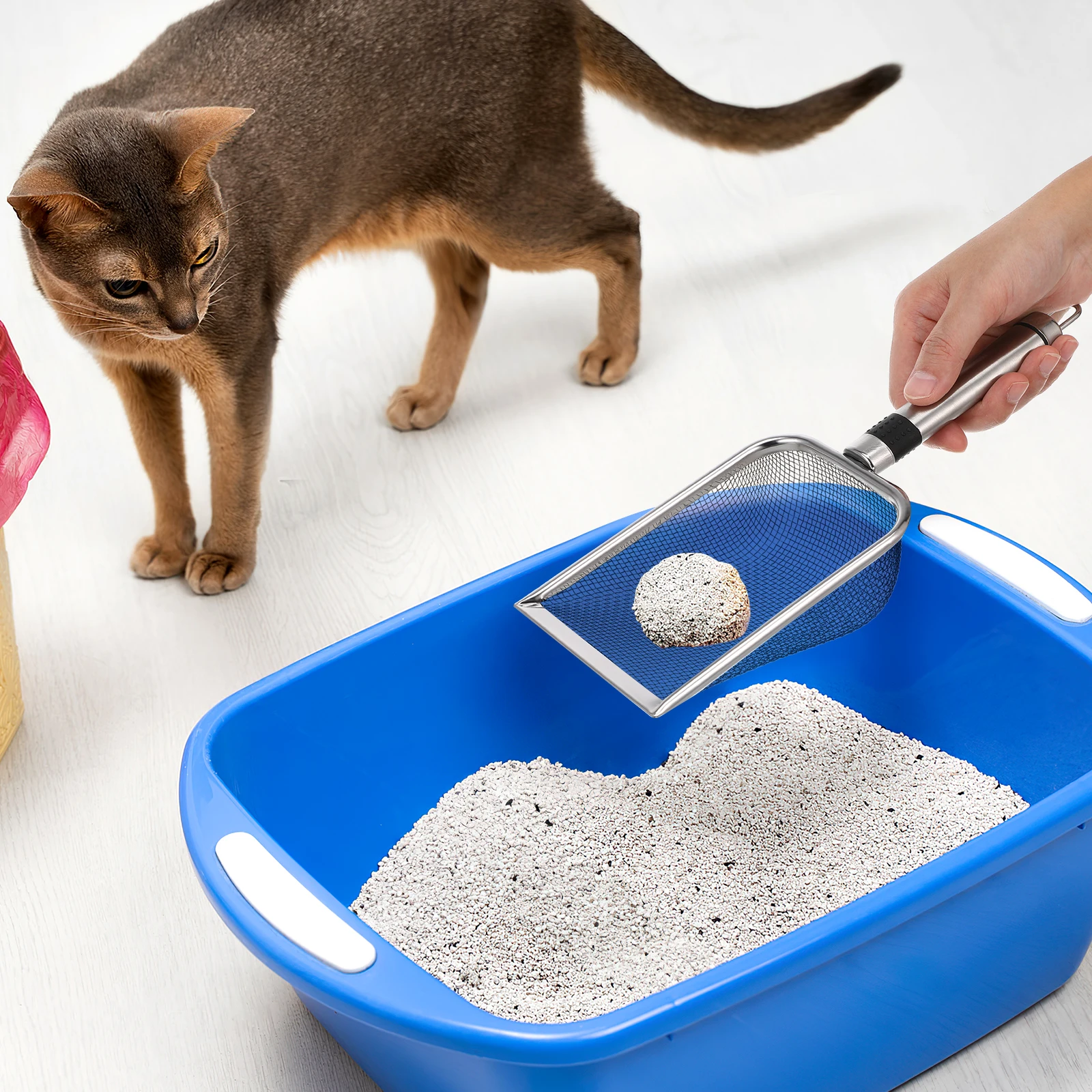 Stainless Steel Cat Litter Scoop Large Mesh Metal Scooper for Cats Fine Poop Sifter Non Stick Easy Pet Supplies
Stainless Steel Cat Litter Scoop Large Mesh Metal Scooper for Cats Fine Poop Sifter Non Stick Easy Pet Supplies