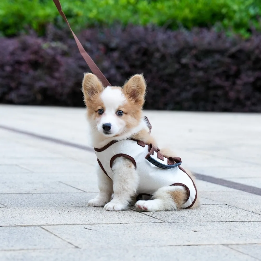 Дышащая подъемная шлейка для всего тела для собак с зажимом для ремней, аксессуар для домашних животных, рюкзак-переноска для домашних животных, регулируемая переноска для домашних животных
Дышащая подъемная шлейка для всего тела для собак с зажимом для ремней, аксессуар для домашних животных, рюкзак-переноска для домашних животных, регулируемая переноска для домашних животных