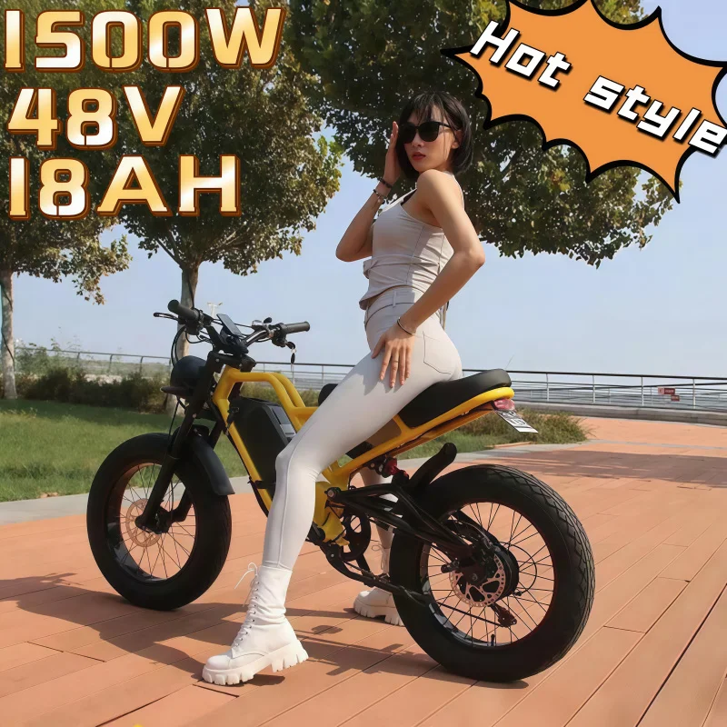 Hot-selling full suspension fat tire 1500W 48V 18AH hydraulic brake adult removable battery
Hot-selling full suspension fat tire 1500W 48V 18AH hydraulic brake adult removable battery