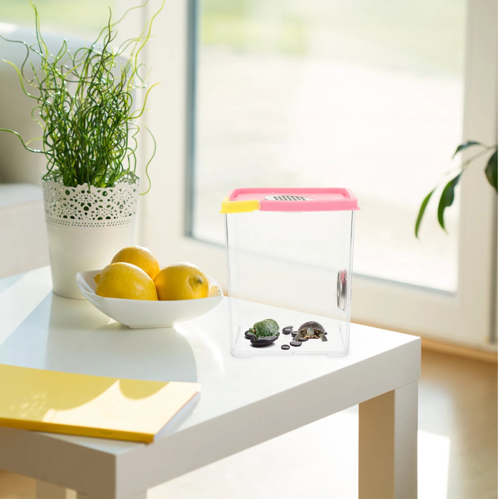Transparent Acrylic Reptile Enclosure Durable Insect Feeding Box Large Size Premium Material Spider Terrarium Practical Reptile
Transparent Acrylic Reptile Enclosure Durable Insect Feeding Box Large Size Premium Material Spider Terrarium Practical Reptile