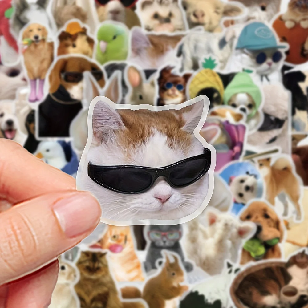 10/50PCS Interesting Animal Gaze Graffiti Stickers Exquisite DIY Guitar Phone Laptop Suitcase Water Cup Skateboard Decals
10/50PCS Interesting Animal Gaze Graffiti Stickers Exquisite DIY Guitar Phone Laptop Suitcase Water Cup Skateboard Decals