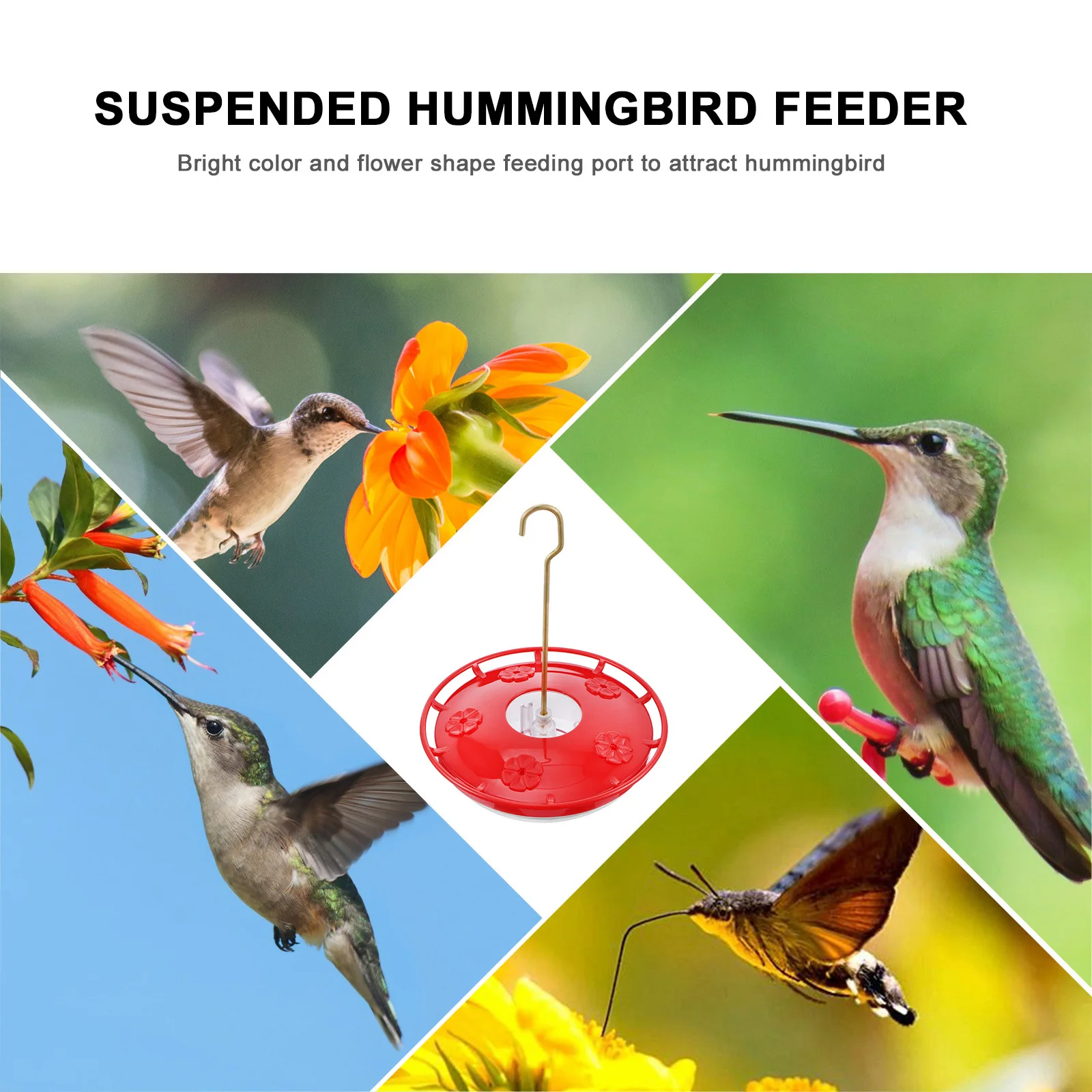 Hanging Plastic Flower For Outdoor Garden Backyard With Built-In Hook To Prevent Ants Squirrels Hummingbird Feeders For Patio
Hanging Plastic Flower For Outdoor Garden Backyard With Built-In Hook To Prevent Ants Squirrels Hummingbird Feeders For Patio