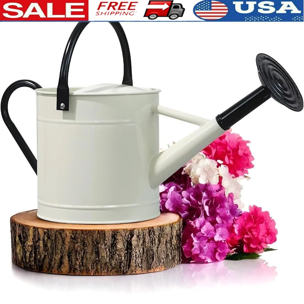 Galvanized Steel Watering Can 1 Gallon Removable Spout Indoor Outdoor Gardening Pot Durable Metal Watering Jug Plants
Galvanized Steel Watering Can 1 Gallon Removable Spout Indoor Outdoor Gardening Pot Durable Metal Watering Jug Plants