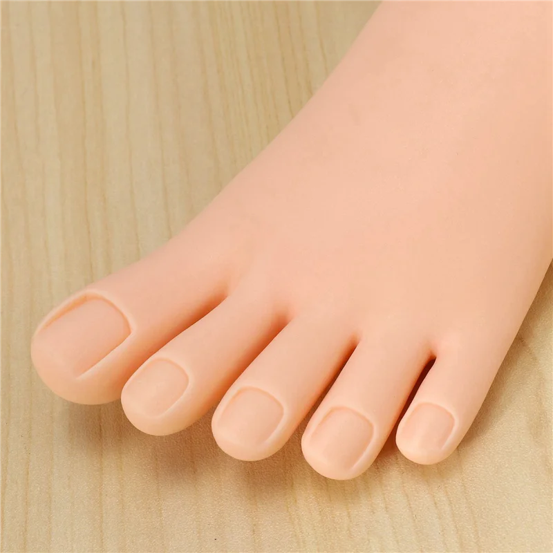 ABVC 3X Практическая модель стопы Гибкий подвижный мягкий инструмент для искусственной стопы для поезда для дизайна ног
ABVC 3X Практическая модель стопы Гибкий подвижный мягкий инструмент для искусственной стопы для поезда для дизайна ног