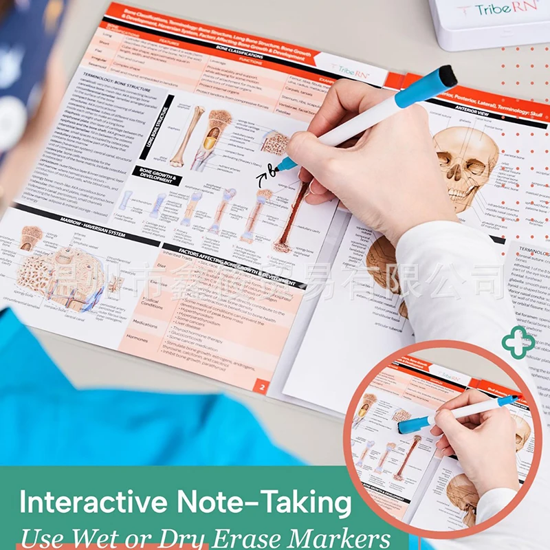 Anatomy & Physiology Study Guides - Set Of 10 Human Anatomy Guides For Nursing Students Medical Professions
Anatomy & Physiology Study Guides - Set Of 10 Human Anatomy Guides For Nursing Students Medical Professions