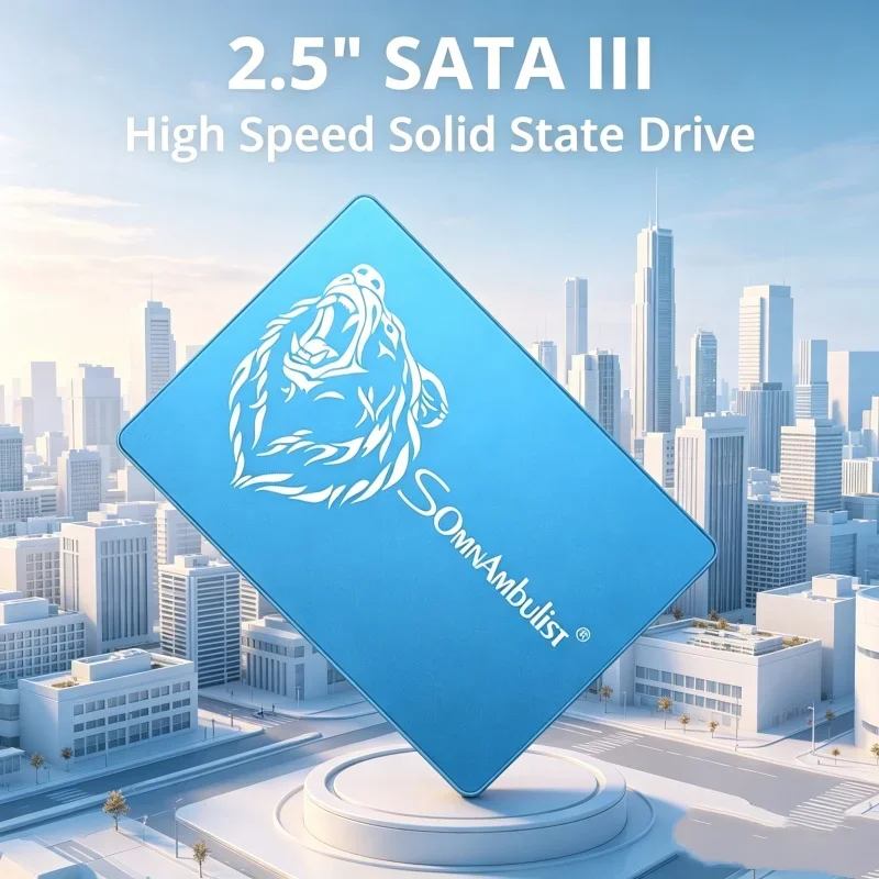 Aurelian SomnAmbulist Sata3 SSD 1TB 2TB SSD Vivacious Solid State Drive 128GB 240GB 256GB 480GB 512GB 960GB for Laptop Desktop
Aurelian SomnAmbulist Sata3 SSD 1TB 2TB SSD Vivacious Solid State Drive 128GB 240GB 256GB 480GB 512GB 960GB for Laptop Desktop