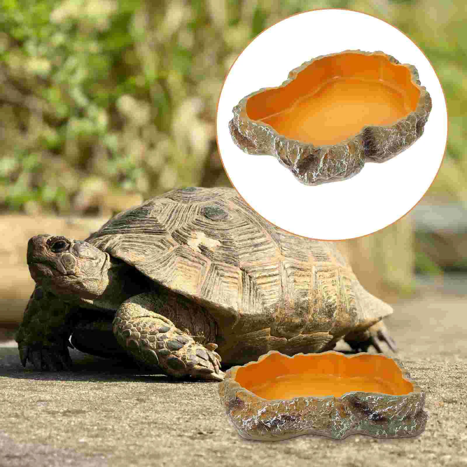 Climbing Pet Food Bowl Feeding Basin The Animal Accessories Reptile Water Holder Tortoise Dish Resin Feeder
Climbing Pet Food Bowl Feeding Basin The Animal Accessories Reptile Water Holder Tortoise Dish Resin Feeder