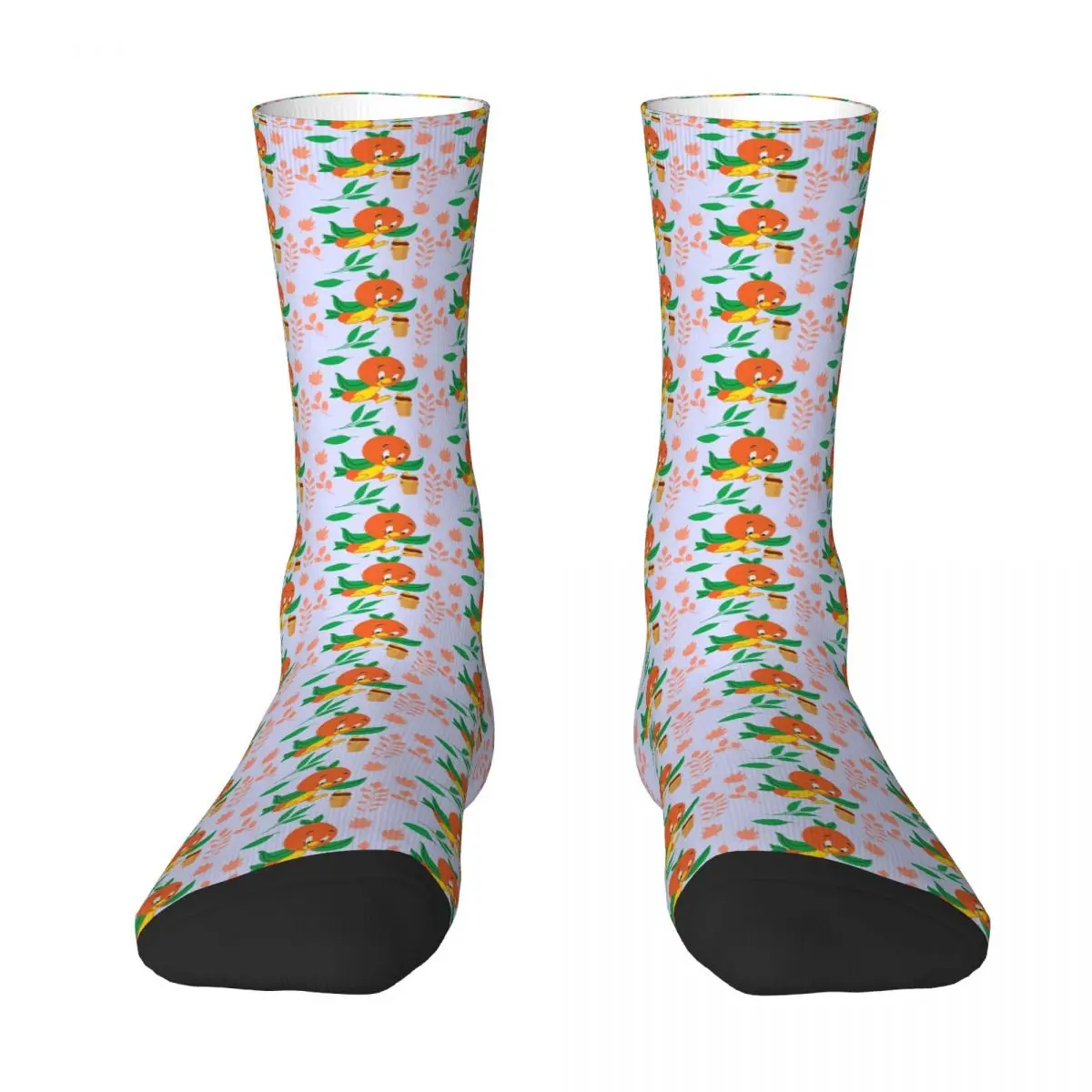 Orange Bird And Citrus Swirl Socks Harajuku Sweat Absorbing Stockings All Season Long Socks Accessories for Unisex Gifts
Orange Bird And Citrus Swirl Socks Harajuku Sweat Absorbing Stockings All Season Long Socks Accessories for Unisex Gifts