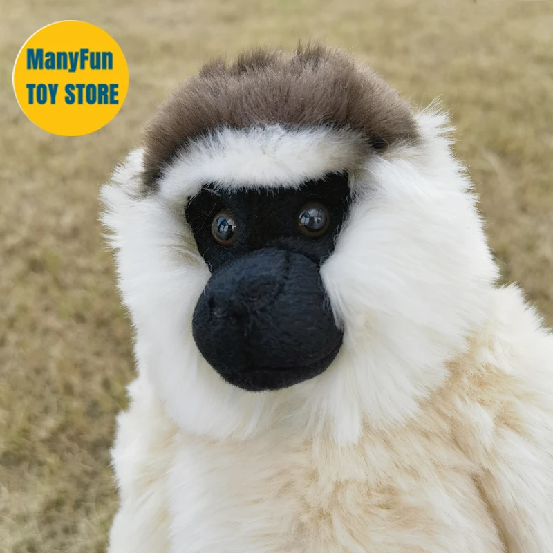 Gibbon Plush Toy Lifelike Monkey Plushie Realistic Sifaka Stuffed Animal Hylobatidae Ape Simulation Doll Gift Kids Collectors
Gibbon Plush Toy Lifelike Monkey Plushie Realistic Sifaka Stuffed Animal Hylobatidae Ape Simulation Doll Gift Kids Collectors