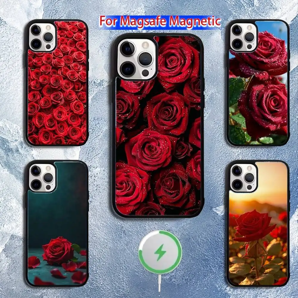 R-Red R-Rose Flowers Phone Case For iPhone 16,15,14,13,12,11,Pro,Max,Plus,Mini,Magsafe,Magnetic Wireless Charging Case 
R-Red R-Rose Flowers Phone Case For iPhone 16,15,14,13,12,11,Pro,Max,Plus,Mini,Magsafe,Magnetic Wireless Charging Case