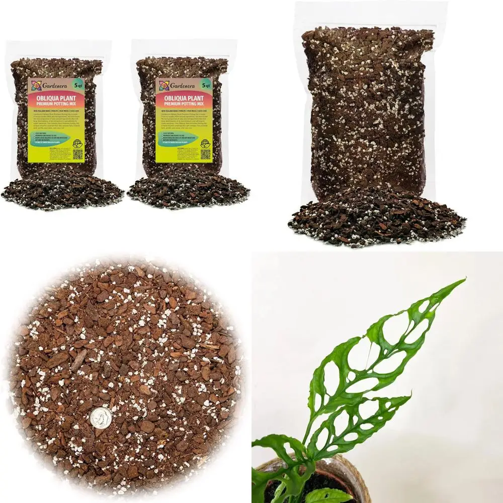 Смесь для посадки Monstera Obliqua - 10 кварт (2x 5 кварт) для здорового роста и пышных листьев
Смесь для посадки Monstera Obliqua - 10 кварт (2x 5 кварт) для здорового роста и пышных листьев