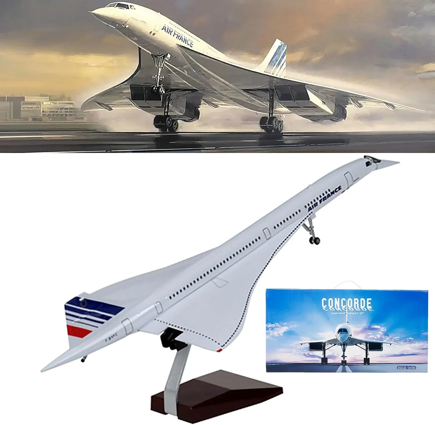 50CM 1:125 Scale Plane Concorde Air France British Airline Air Force One Model Airplane Resin Airframe Aircraft Gift Display
50CM 1:125 Scale Plane Concorde Air France British Airline Air Force One Model Airplane Resin Airframe Aircraft Gift Display