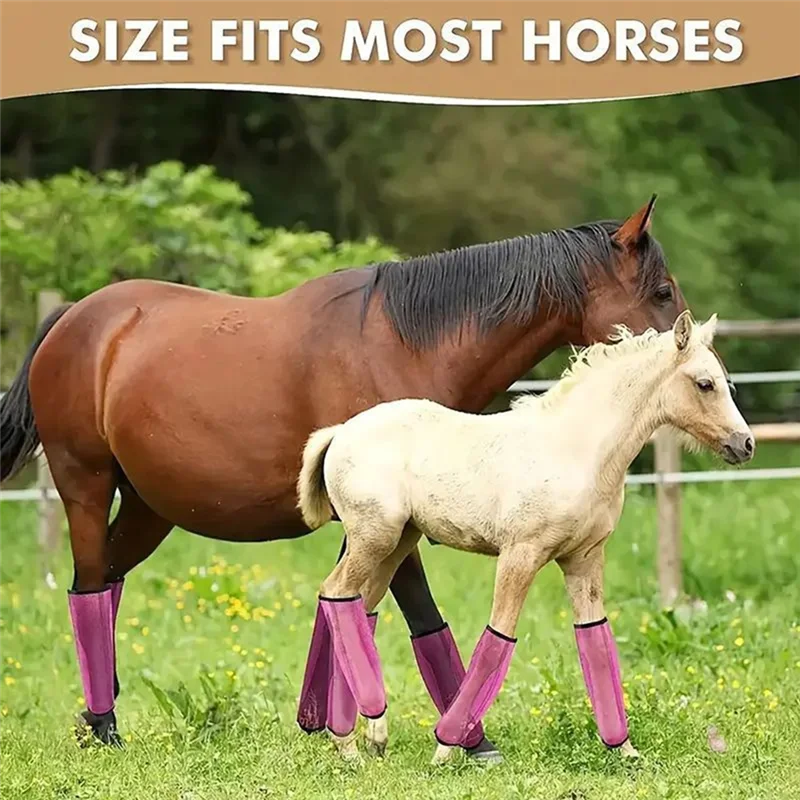 4PCS Boots For Horses Set Of 4 Horse Leggings Leg Wraps Sport Training Professional Supplies
4PCS Boots For Horses Set Of 4 Horse Leggings Leg Wraps Sport Training Professional Supplies