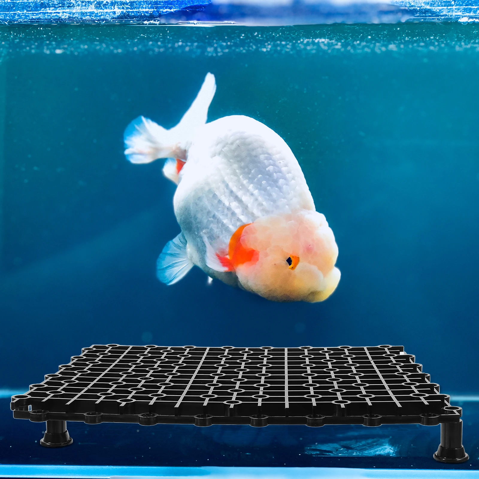 4pcs Fish Divider Plate Filter Trays Aquarium Separator Board Bottom Grid Strainer Reusable Plastic Divider Boards For Aquarium
4pcs Fish Divider Plate Filter Trays Aquarium Separator Board Bottom Grid Strainer Reusable Plastic Divider Boards For Aquarium