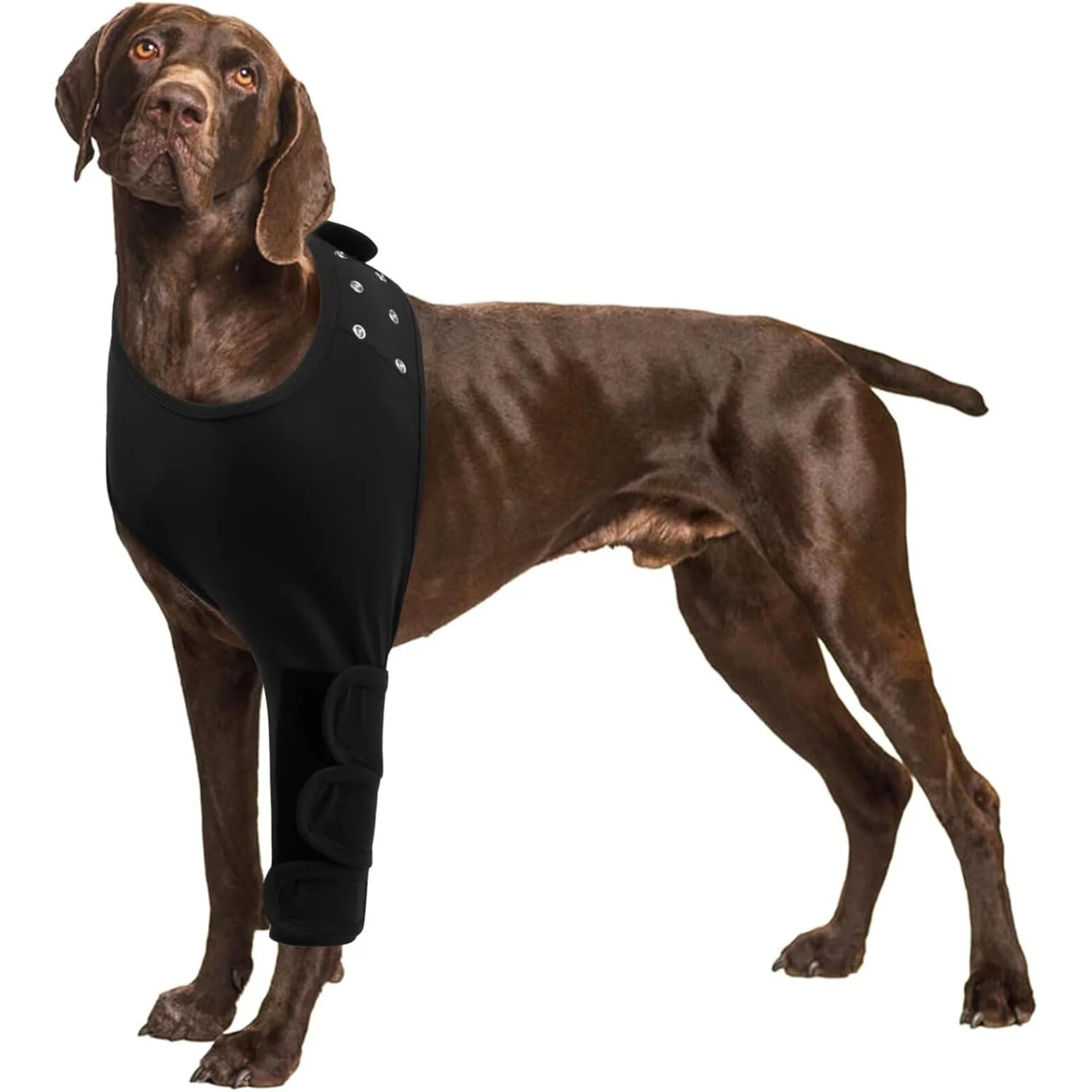 Hot Sale Pet Leggings Dog Leggings Knee Pads Knee Pads Knee Assist with Leg Joint Protection Dog Leggings
Hot Sale Pet Leggings Dog Leggings Knee Pads Knee Pads Knee Assist with Leg Joint Protection Dog Leggings