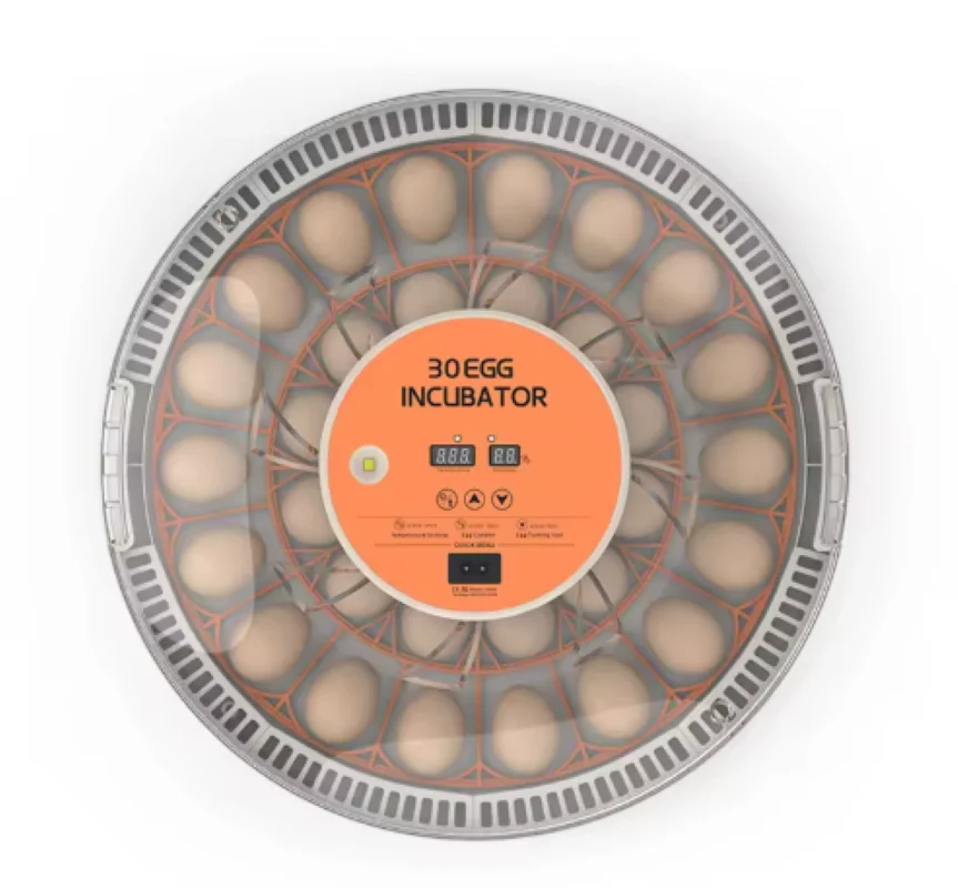 Intelligent Egg Incubator Rutin Chicken Small Incubator Poultry Incubation Breeding Incubator
Intelligent Egg Incubator Rutin Chicken Small Incubator Poultry Incubation Breeding Incubator