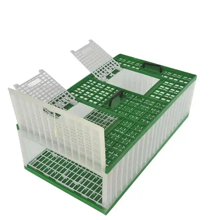 Portable Foldable Plastic Eco-Friendly Pigeon Transport Cage Bird Supplies for Outdoor Racing Nesting Aviary
Portable Foldable Plastic Eco-Friendly Pigeon Transport Cage Bird Supplies for Outdoor Racing Nesting Aviary