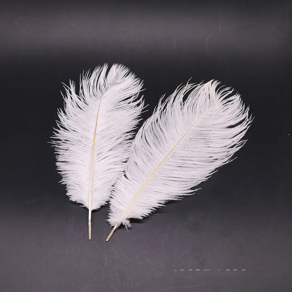 5Pcs Ostrich Natural 30-35cm Processed Fumigation Perfect for Crafts Costumes Wedding Decor Ostrich 
5Pcs Ostrich Natural 30-35cm Processed Fumigation Perfect for Crafts Costumes Wedding Decor Ostrich