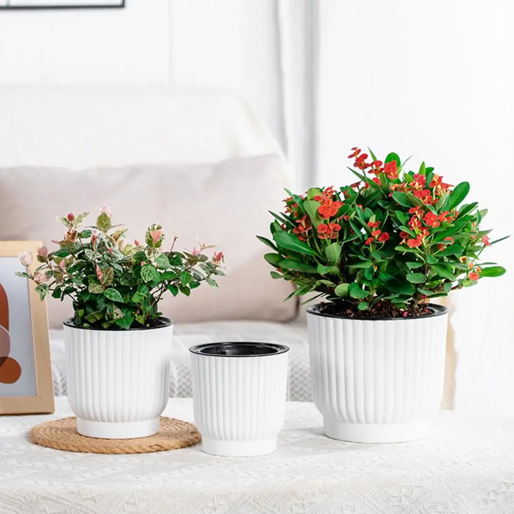 Indoor Self Watering Pot Ventilated Basin Planter Self Watering Indoor Plant Pots with Reservoir Rope Modern Plastic for Herbs
Indoor Self Watering Pot Ventilated Basin Planter Self Watering Indoor Plant Pots with Reservoir Rope Modern Plastic for Herbs