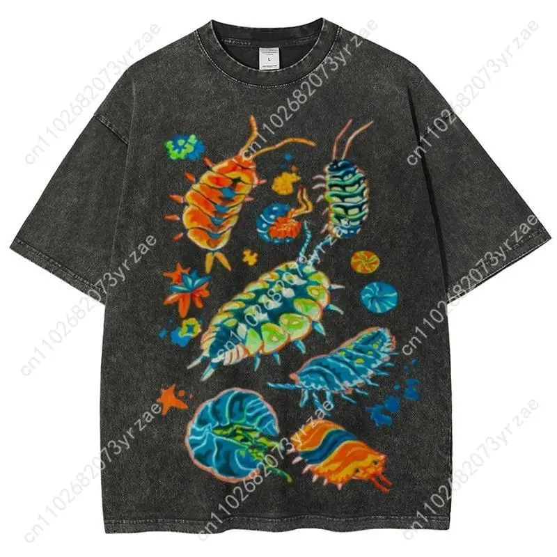 Colorful Insects Retro Tshirt Man Woman High Quality Vintage T Shirt Cotton Short Sleeves Fashion T-shirt Soft Breathable Tops
Colorful Insects Retro Tshirt Man Woman High Quality Vintage T Shirt Cotton Short Sleeves Fashion T-shirt Soft Breathable Tops