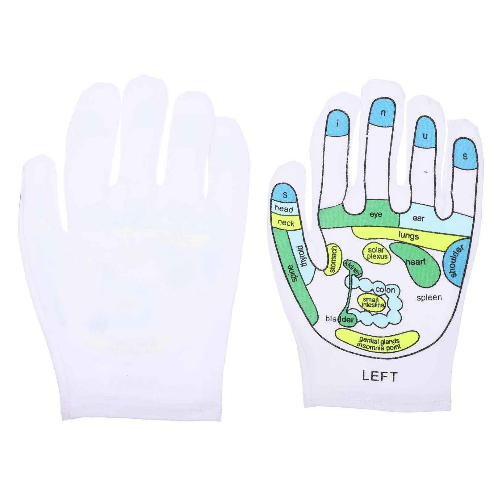 Acupressure Printed Gloves Household Massage Acupoint Professional Hand Accessory Supply Facial Tools
Acupressure Printed Gloves Household Massage Acupoint Professional Hand Accessory Supply Facial Tools