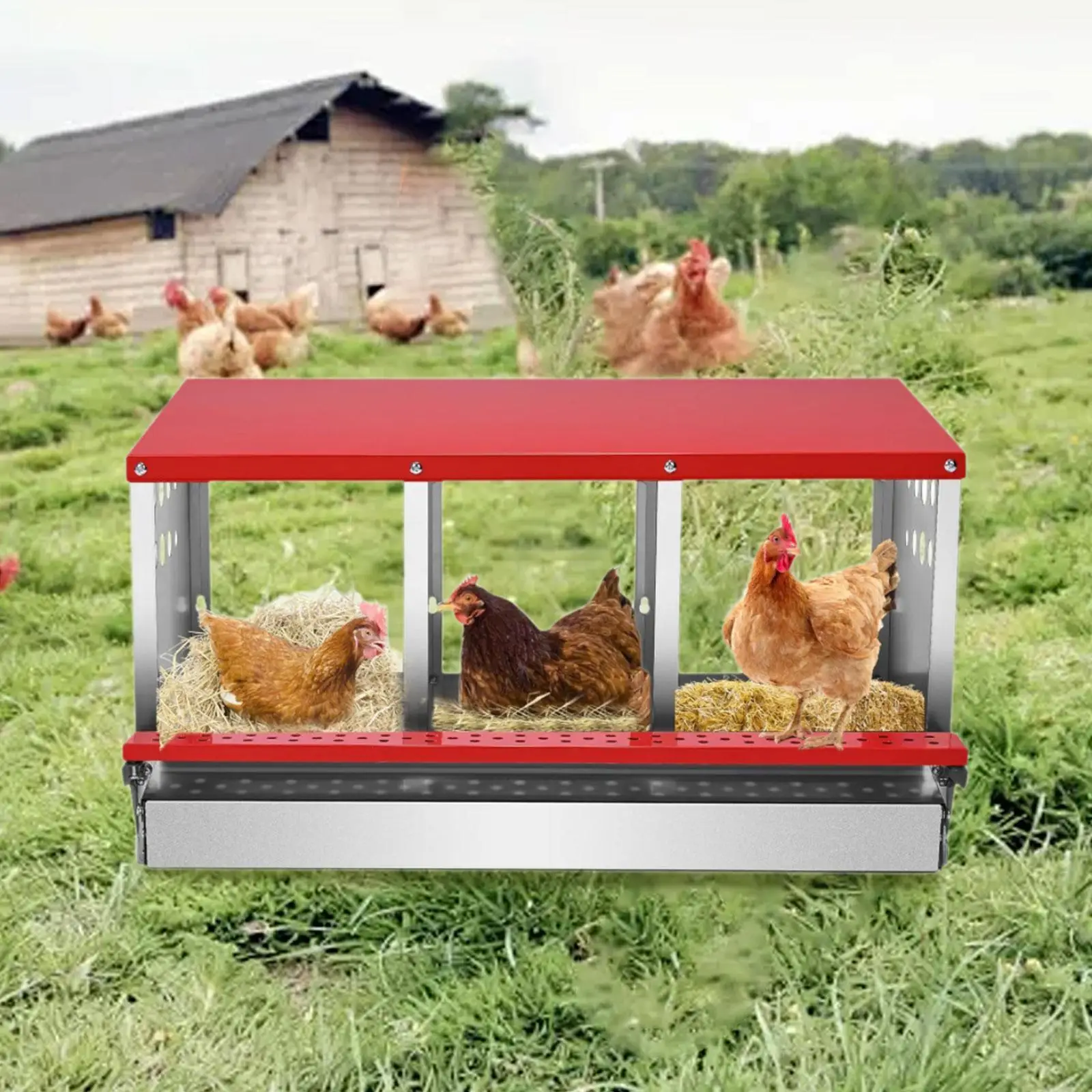 Chicken Nest Box Hen Nest Box Easy to Egg Collection Hen Nest Box Chicken Laying
Chicken Nest Box Hen Nest Box Easy to Egg Collection Hen Nest Box Chicken Laying