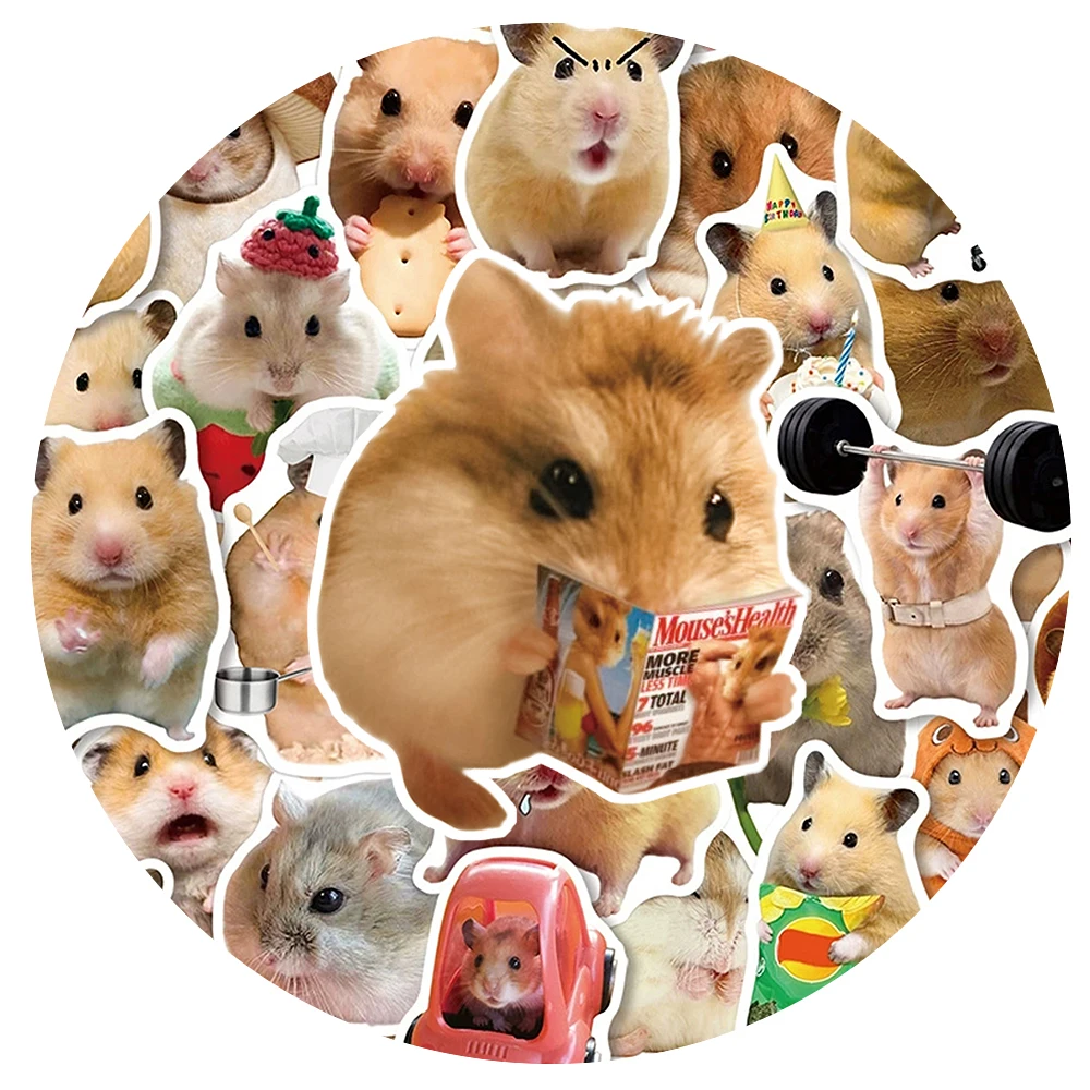 10/30/50pcs Cute Funny Meme Hamster Animal Stickers Waterproof DIY Suitcase Notebook Phone Case Kawaii Graffiti Decals Packing
10/30/50pcs Cute Funny Meme Hamster Animal Stickers Waterproof DIY Suitcase Notebook Phone Case Kawaii Graffiti Decals Packing