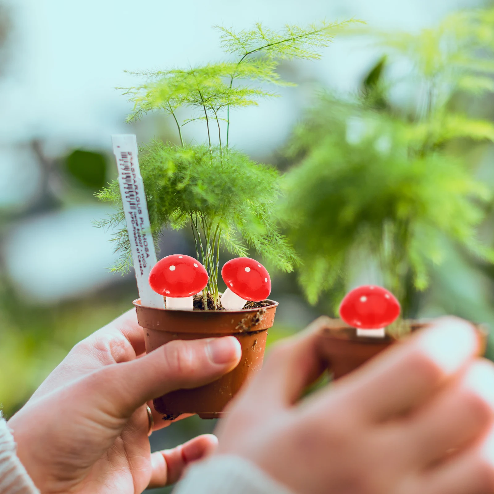 60pcs Miniature Mushroom Decorations Simulated DIY Micro Landscape Mini Foams Moss Decors Tabletop Succulents Photo Props Safe
60pcs Miniature Mushroom Decorations Simulated DIY Micro Landscape Mini Foams Moss Decors Tabletop Succulents Photo Props Safe