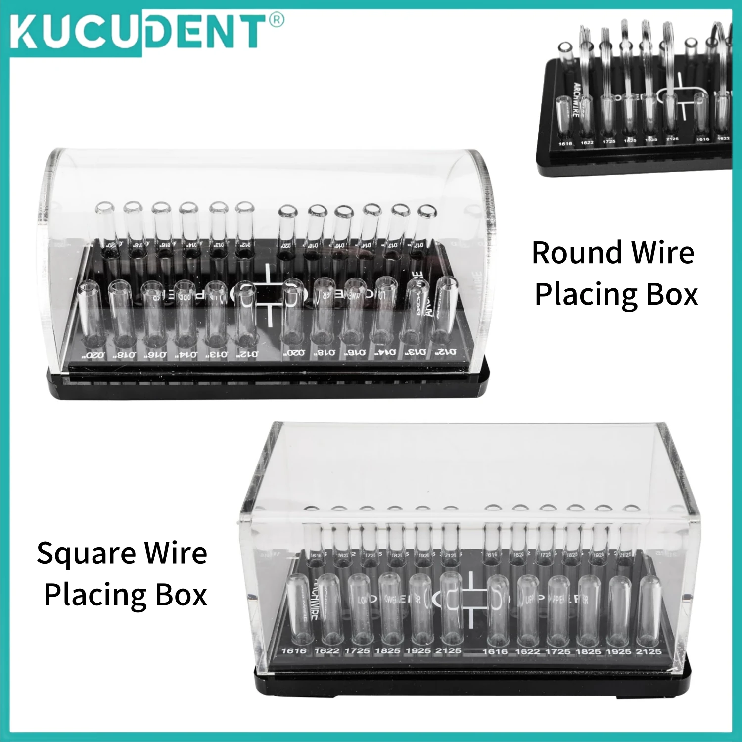 Dental Acrylic Organizer Holder for Orthodontic Round/Rectangular Arch wires Placement Box Archwire Storage Case Lab Sipplies
Dental Acrylic Organizer Holder for Orthodontic Round/Rectangular Arch wires Placement Box Archwire Storage Case Lab Sipplies