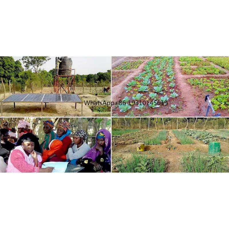 【From China】1.5 AC/DC Solar Agriculture High Volume Submersible Motor Well Water Transfer Pump Price Bomba De Agua Panel Solar
【From China】1.5 AC/DC Solar Agriculture High Volume Submersible Motor Well Water Transfer Pump Price Bomba De Agua Panel Solar
