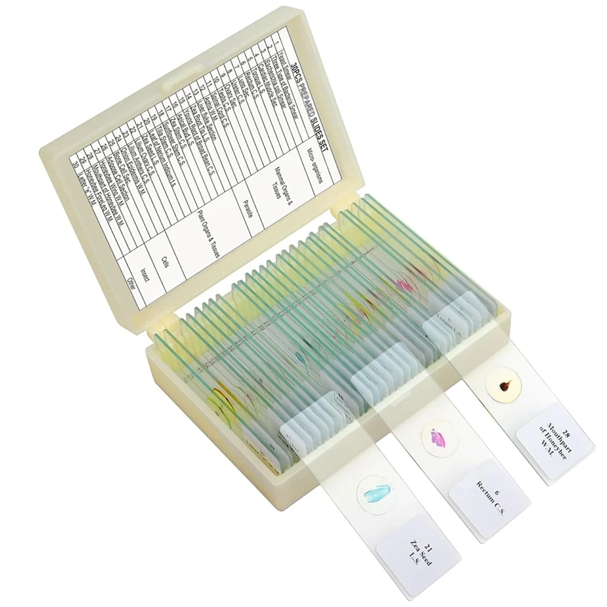 A93Z Children'S Microscope Slides, Glass Prep Slides for Microscope Accessories Suitable for All Types of Microscopes
A93Z Children'S Microscope Slides, Glass Prep Slides for Microscope Accessories Suitable for All Types of Microscopes